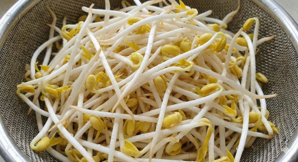 A pile of fresh, crisp mung bean sprouts with white stems and yellow heads, a powerful biohacking food for heavy metal detoxification.