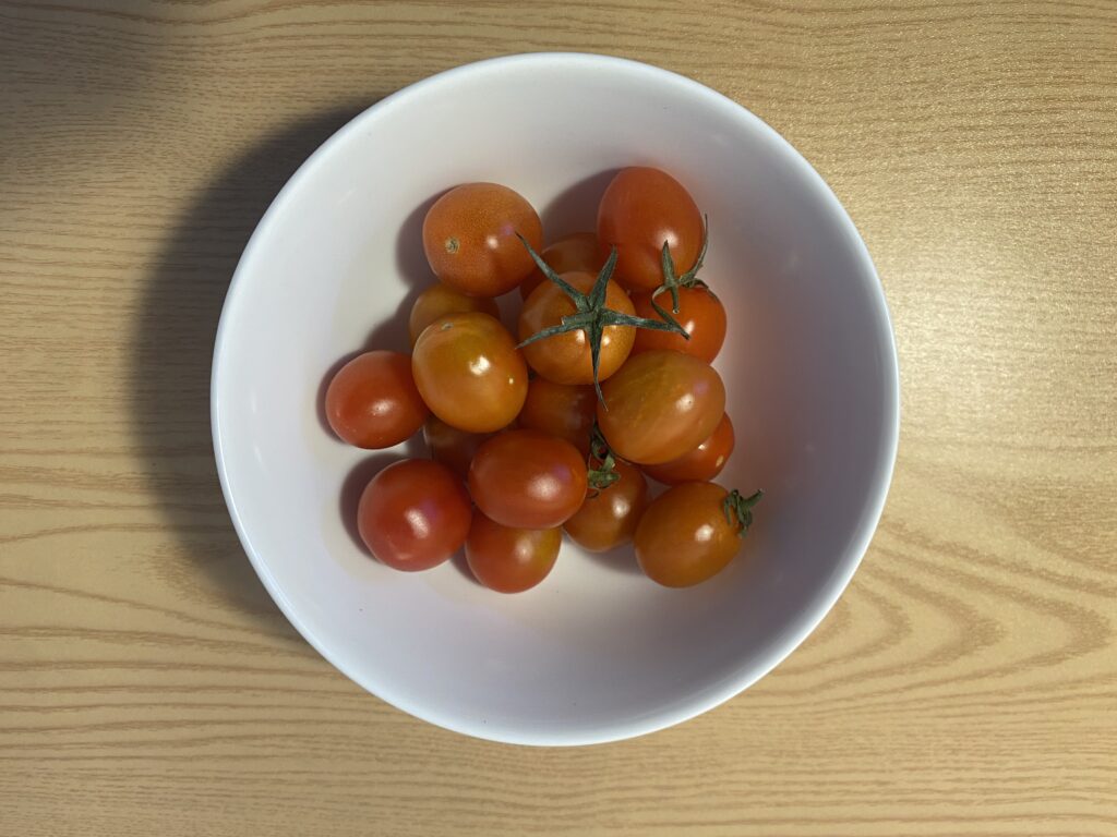 브리짓준의 항염 식단 루틴에 포함된 신선한 토마토와 올리브유 조리법 이미지